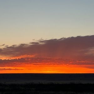 Meet your Posher, Daniale